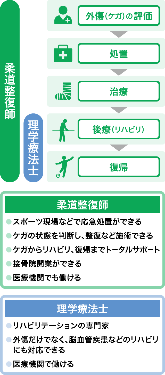 柔道整復師と理学療法士の対応領域
