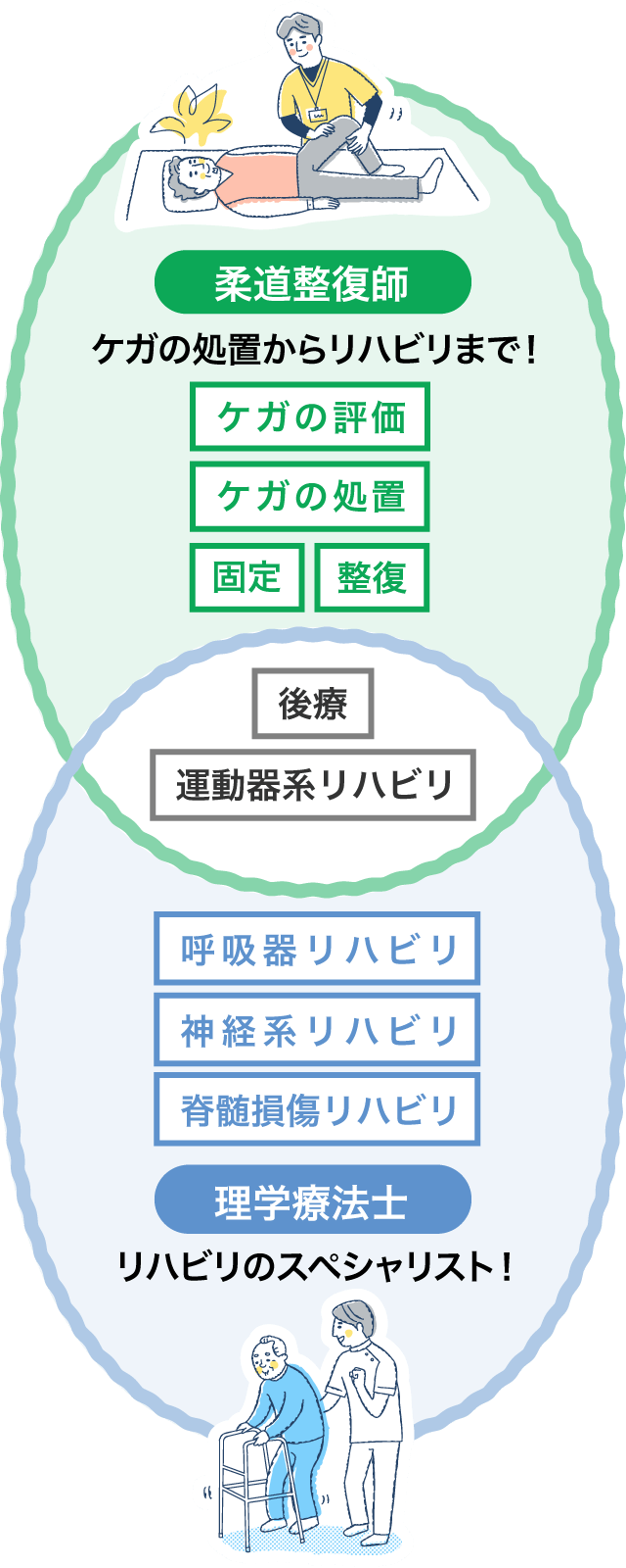 柔道整復師と理学療法士の対応領域